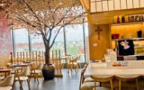 快餐店餐桌椅定制和餐厅装修应该如何结合，你懂吗？摩登6官网_叁格家具
